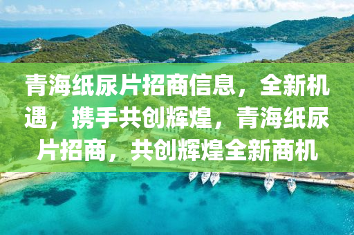 青海纸尿片招商信息，全新机遇，携手共创辉煌，青海纸尿片招商，共创辉煌全新商机