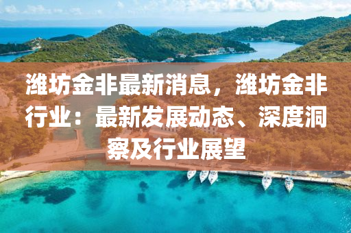 潍坊金非最新消息，潍坊金非行业：最新发展动态、深度洞察及行业展望