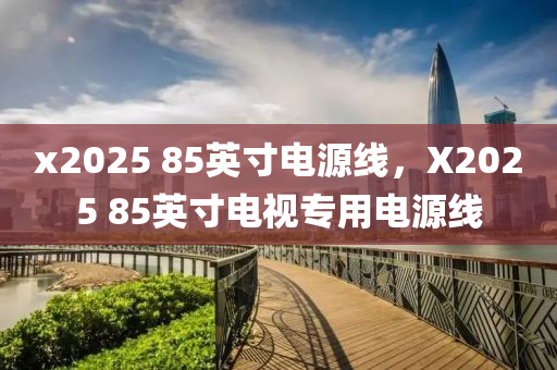 x2025 85英寸电源线，X2025 85英寸电视专用电源线