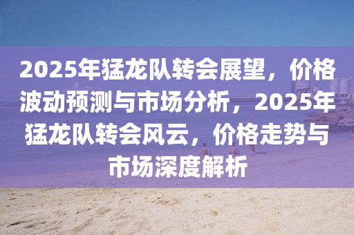 2025年猛龙队转会展望，价格波动预测与市场分析，2025年猛龙队转会风云，价格走势与市场深度解析