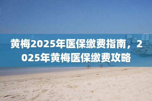 黄梅2025年医保缴费指南，2025年黄梅医保缴费攻略