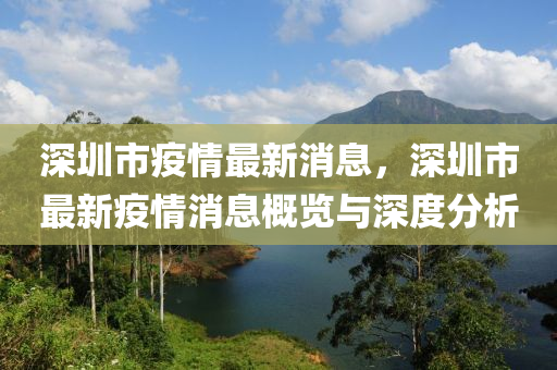 深圳市疫情最新消息，深圳市最新疫情消息概览与深度分析