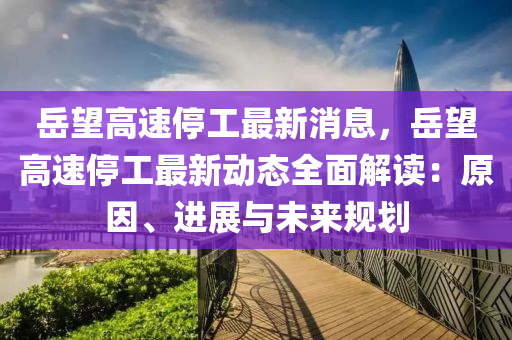 岳望高速停工最新消息，岳望高速停工最新动态全面解读：原因、进展与未来规划