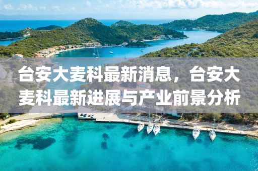 台安大麦科最新消息，台安大麦科最新进展与产业前景分析