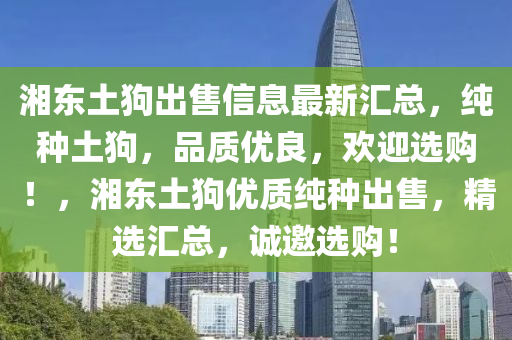 湘东土狗出售信息最新汇总，纯种土狗，品质优良，欢迎选购！，湘东土狗优质纯种出售，精选汇总，诚邀选购！