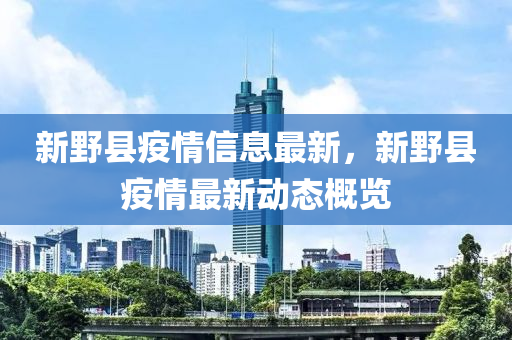 新野县疫情信息最新，新野县疫情最新动态概览