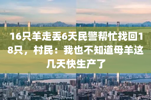 16只羊走丢6天民警帮忙找回18只，村民：我也不知道母羊这几天快生产了