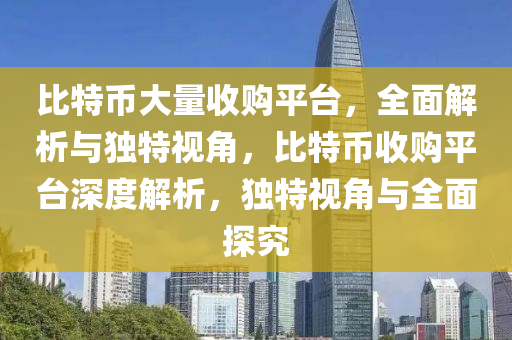 比特币大量收购平台，全面解析与独特视角，比特币收购平台深度解析，独特视角与全面探究