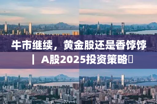 牛市继续，黄金股还是香饽饽｜ A股2025投资策略⑪