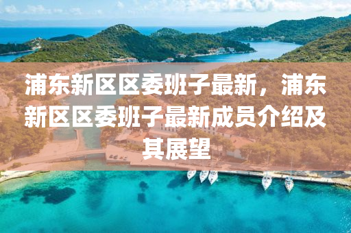 浦东新区区委班子最新，浦东新区区委班子最新成员介绍及其展望