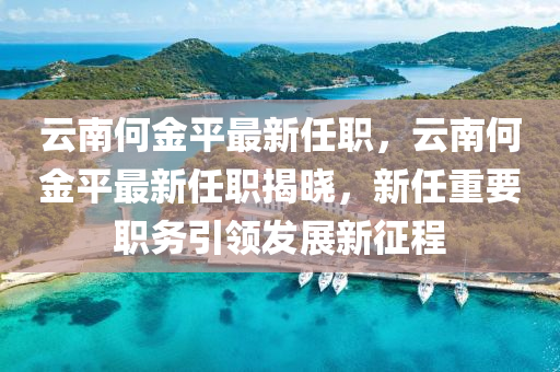 云南何金平最新任职，云南何金平最新任职揭晓，新任重要职务引领发展新征程