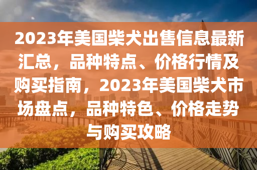 2023年美国柴犬出售信息最新汇总，品种特点、价格行情及购买指南，2023年美国柴犬市场盘点，品种特色、价格走势与购买攻略