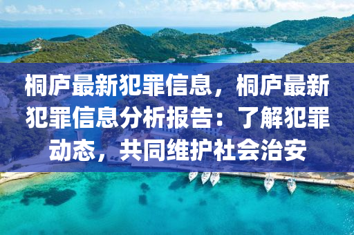 桐庐最新犯罪信息，桐庐最新犯罪信息分析报告：了解犯罪动态，共同维护社会治安