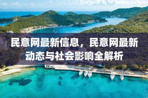 民意网最新信息，民意网最新动态与社会影响全解析