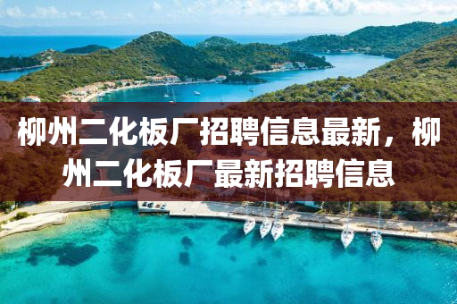 柳州二化板厂招聘信息最新，柳州二化板厂最新招聘信息