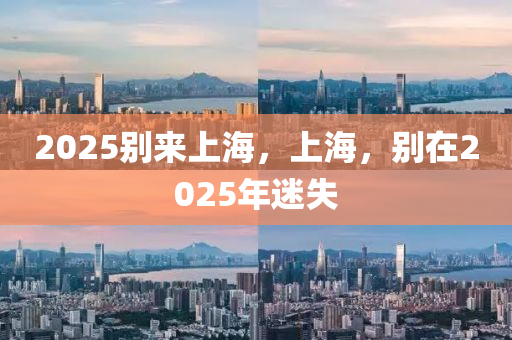 2025别来上海，上海，别在2025年迷失