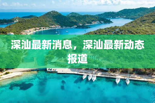 深汕最新消息，深汕最新动态报道