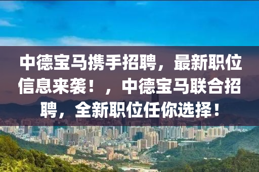 中德宝马携手招聘，最新职位信息来袭！，中德宝马联合招聘，全新职位任你选择！