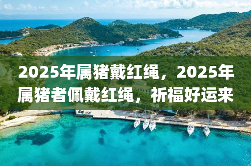 2025年属猪戴红绳，2025年属猪者佩戴红绳，祈福好运来