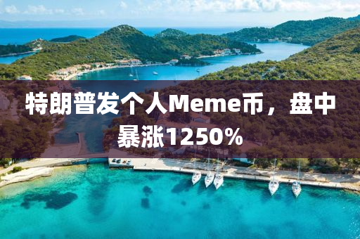 特朗普发个人Meme币，盘中暴涨1250%