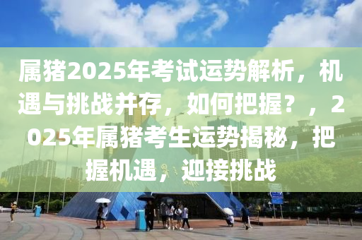 属猪2025年考试运势解析，机遇与挑战并存，如何把握？，2025年属猪考生运势揭秘，把握机遇，迎接挑战