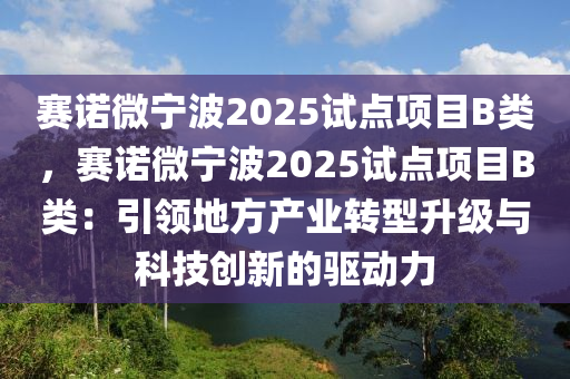 赛诺微宁波2025试点项目B类，赛诺微宁波2025试点项目B类：引领地方产业转型升级与科技创新的驱动力