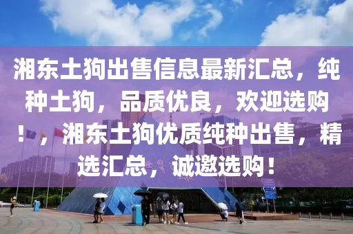 湘东土狗出售信息最新汇总，纯种土狗，品质优良，欢迎选购！，湘东土狗优质纯种出售，精选汇总，诚邀选购！