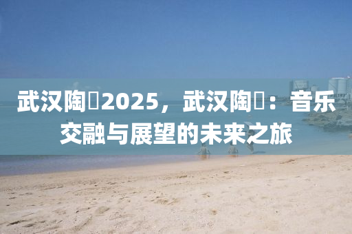 武汉陶喆2025，武汉陶喆：音乐交融与展望的未来之旅