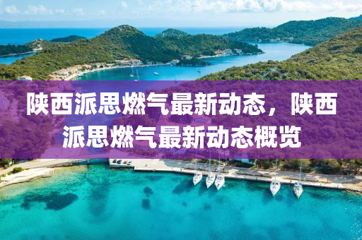 陕西派思燃气最新动态，陕西派思燃气最新动态概览