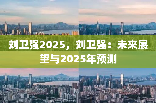 刘卫强2025，刘卫强：未来展望与2025年预测