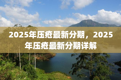 2025年压疮最新分期，2025年压疮最新分期详解