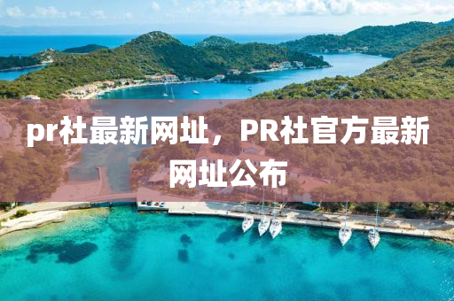 pr社最新网址，PR社官方最新网址公布