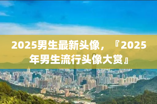 2025男生最新头像，『2025年男生流行头像大赏』