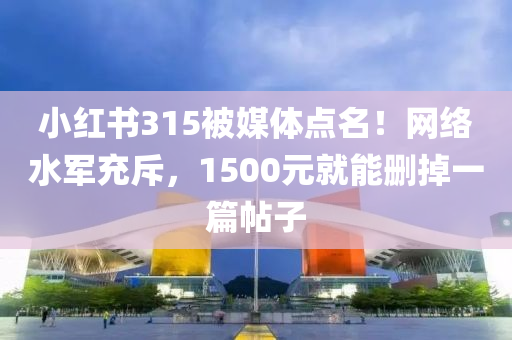 小红书315被媒体点名！网络水军充斥，1500元就能删掉一篇帖子