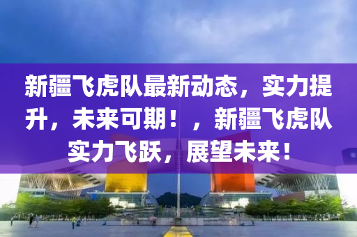 新疆飞虎队最新动态，实力提升，未来可期！，新疆飞虎队实力飞跃，展望未来！