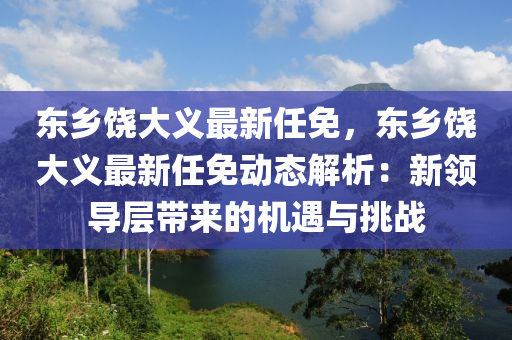 东乡饶大义最新任免，东乡饶大义最新任免动态解析：新领导层带来的机遇与挑战