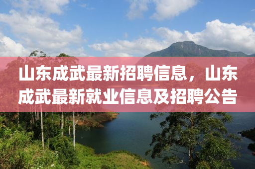 山东成武最新招聘信息，山东成武最新就业信息及招聘公告