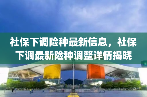 社保下调险种最新信息，社保下调最新险种调整详情揭晓