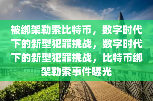 被绑架勒索比特币，数字时代下的新型犯罪挑战，数字时代下的新型犯罪挑战，比特币绑架勒索事件曝光