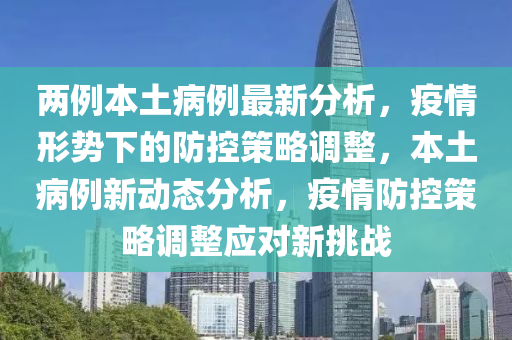 两例本土病例最新分析，疫情形势下的防控策略调整，本土病例新动态分析，疫情防控策略调整应对新挑战