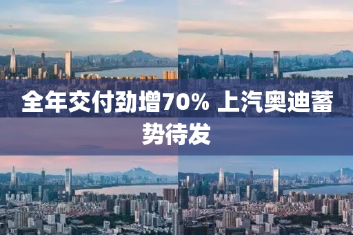 全年交付劲增70% 上汽奥迪蓄势待发