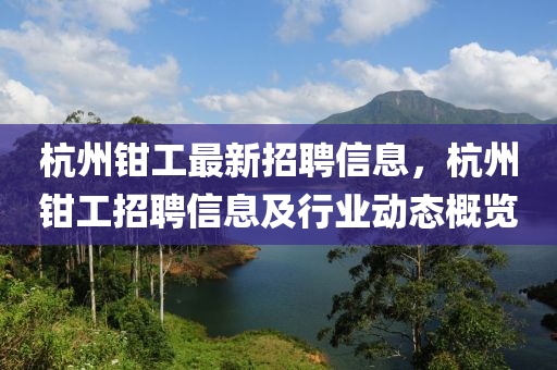 杭州钳工最新招聘信息，杭州钳工招聘信息及行业动态概览