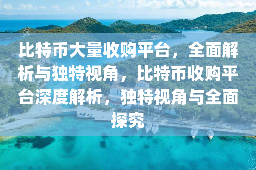 比特币大量收购平台，全面解析与独特视角，比特币收购平台深度解析，独特视角与全面探究