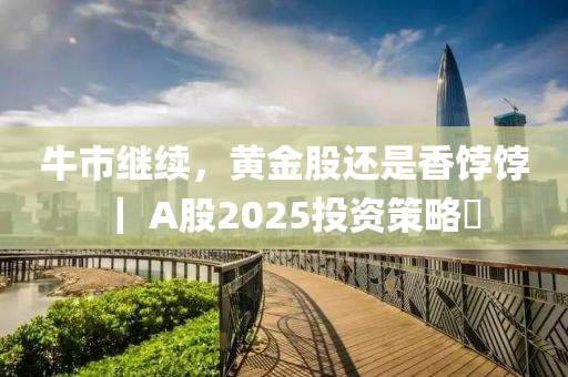 牛市继续，黄金股还是香饽饽｜ A股2025投资策略⑪