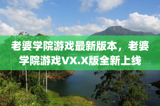 老婆学院游戏最新版本，老婆学院游戏VX.X版全新上线