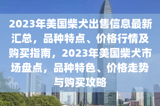 2023年美国柴犬出售信息最新汇总，品种特点、价格行情及购买指南，2023年美国柴犬市场盘点，品种特色、价格走势与购买攻略