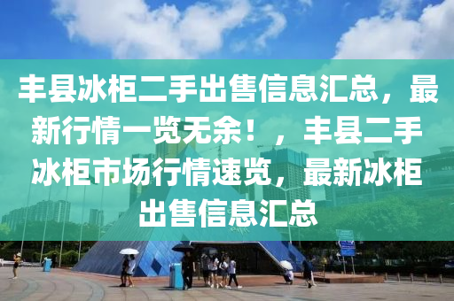 丰县冰柜二手出售信息汇总，最新行情一览无余！，丰县二手冰柜市场行情速览，最新冰柜出售信息汇总