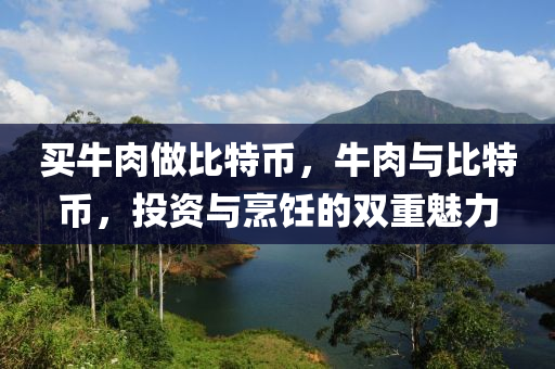 买牛肉做比特币，牛肉与比特币，投资与烹饪的双重魅力