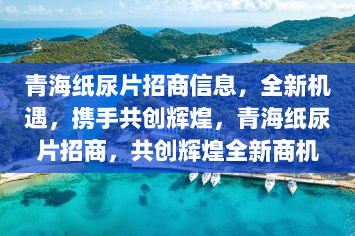 青海纸尿片招商信息，全新机遇，携手共创辉煌，青海纸尿片招商，共创辉煌全新商机