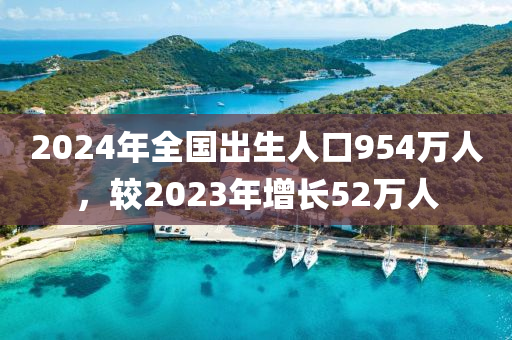 2024年全国出生人口954万人，较2023年增长52万人